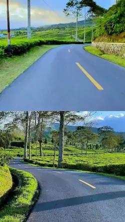 2 video 1 frame