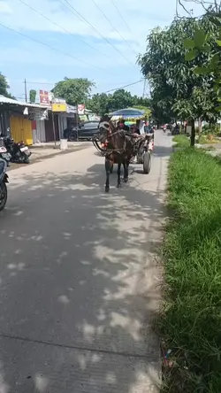 naik delman