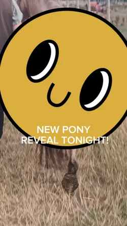 New pony
