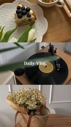 DAILY VLOG 