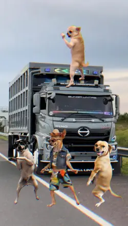 trend anjing joget