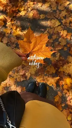 autumn vibes