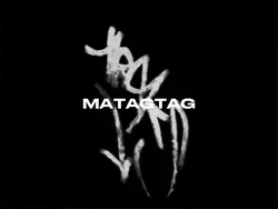 angas