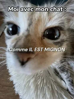 COMME IL EST MIGNON☝️