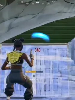 Montage dynamique 