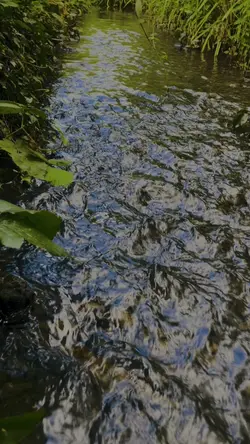 River