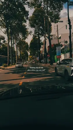 Vu Quy
