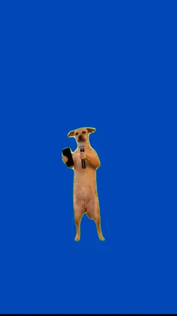 Perro cantando 