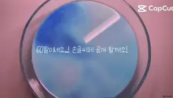 60팔 공약 손글씨체 공개
