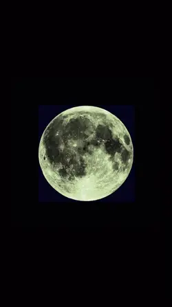 𝐛𝐢𝐫𝐭𝐡𝐝𝐚𝐲 𝐦𝐨𝐨𝐧 🌝♥