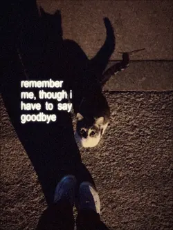 remember me.. 