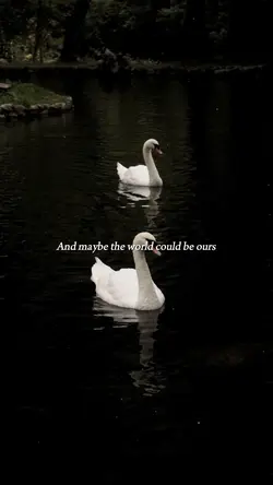 Rewrite the stars [2