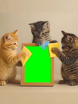 cat's cleaning