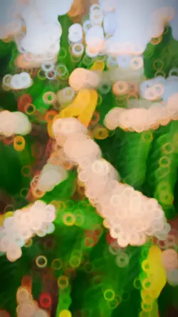 Mẫu 6 video + màu