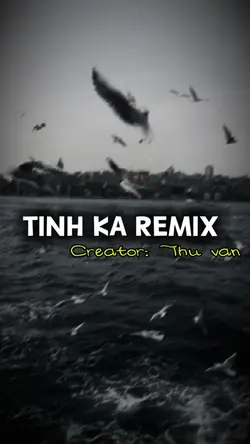 Tình ka remix