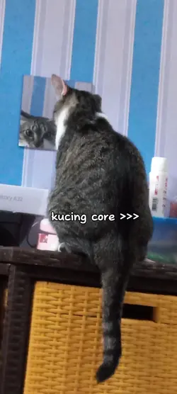 core 10 video