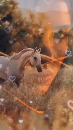BEAUTIFUL HORSES 