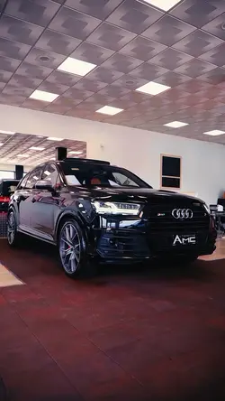 AUDI PRO