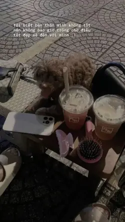 CAP STORY + MÀU