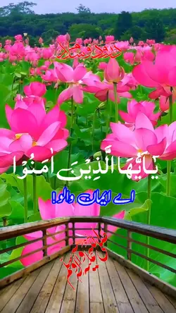 درود-شریف /Drud /Saw
