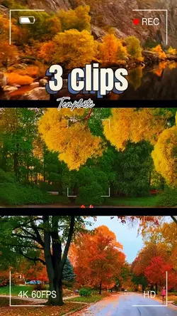 New Templates 