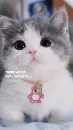 lagu imut