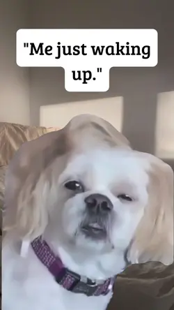 just woke up