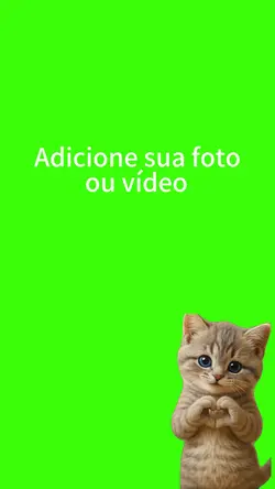 Gatinho fofinho.