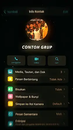 COLLAB BER 5