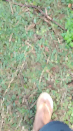 cinematic video