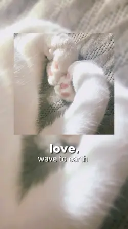 love. wave to earth