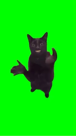 kucing tepuk tangan