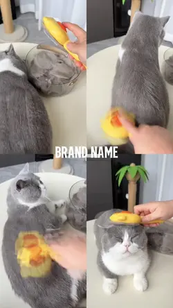 Pet Supplies
