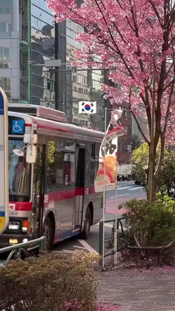 Korea aesthetic 
