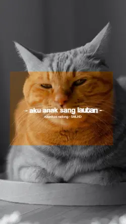 Rutinitas Radong X