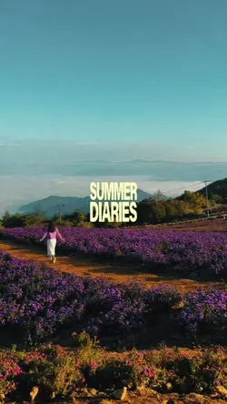 summer diaries 