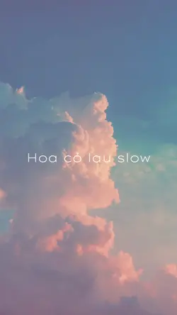 Hoa cỏ lau slow