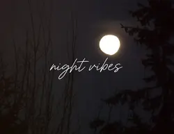 soft music idea