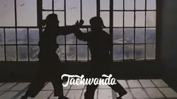 Taekwondo Story's