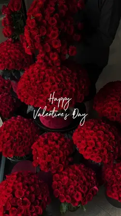 valentine's day