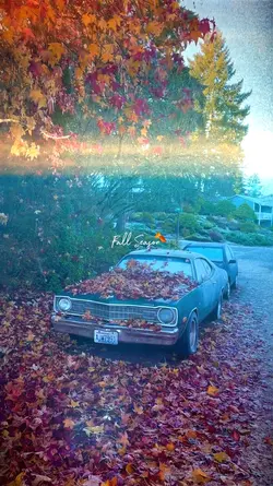 FALL SEASON