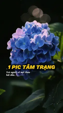 TRẢ NGƯỜI VỀ NƠI
