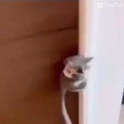 I can’t move it 