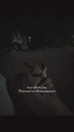 นางฟ้าของผม
