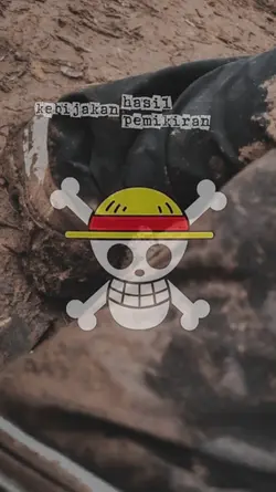 Bendera one piece 