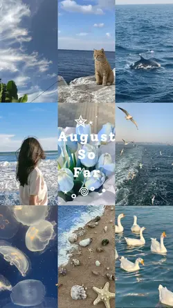 august so far
