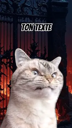 Le chat