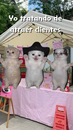 Gatitos bailarines