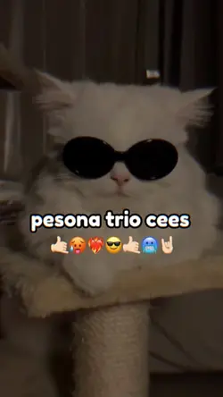 pesona trio cees