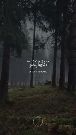 ادخلوها بسلام/قران 
